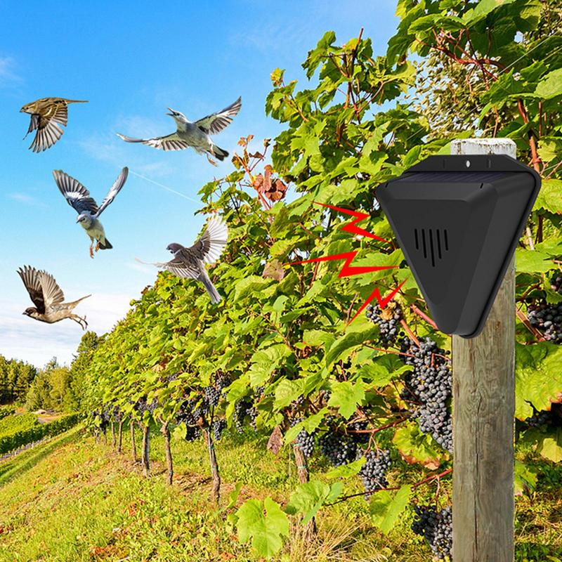 Repelente de pájaros Solar res - Fish Alarm reseña y precio