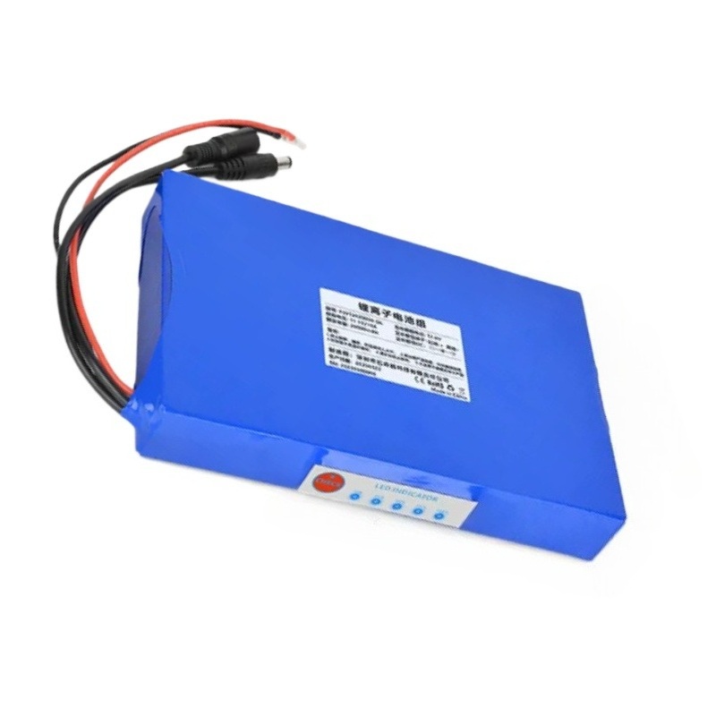 Batería Recargable de Litio de - Fish Finder Charger reseña y precio